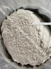 Porcellana Piperidina CAS125541-22-2 /1451-82-7 /40064-34-4 di alta qualità 1-N-Boc-4- (Phenylamino) fornitore